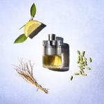 Мужская туалетная вода Azzaro Wanted, 50 мл - фото 4