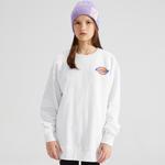 Детская толстовка Dickies, черная - фото 8