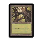 CCG Лес - Вер. 1 (С), MTG - Tempest - фото