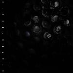 Виниловая пластинка Crumb: Ice Melt - фото