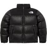 Коллекция Apparel Down Jacket Men Black The North Face, черный - фото