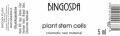 БИНГОСПА Стволовые клетки растений 5мл    Bingospa - фото 2