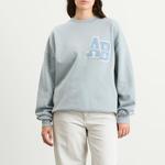 Толстовка Miles oversize Anine Bing, светло-голубой - фото 2