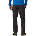 Альпийские брюки для гида Patagonia, черный - фото 2