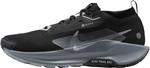 Кроссовки Nike мужские Pegasus Trail 5 Gore-tex, Black/Wolf Grey/Cool Grey/Anthracite - фото