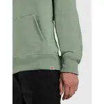 Худи Dickies Parrotsville, зеленый - фото 7