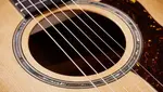 Taylor-guitars (2022) Акустическая гитара Taylor 514ce Grand Auditorium с вырезом - фото 4