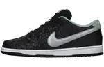 Кроссовки Nike SB Dunk Low S.P.O.T. X Lance Mountain - фото
