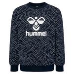 Толстовка Hummel Carson, синий - фото