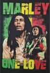 Футболка rockshirts BOB MARLEY ONE LOVE STAGE, Black - фото 3
