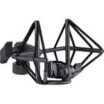 Ленточный микрофон sE Electronics Voodoo VR1 Passive Ribbon Microphone SEE-VR1 - фото 3