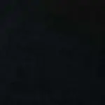 Плотные шторы , 2 шт., черные, 140 x 175 см, бархатные vidaXL - фото 7