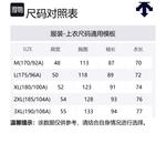 DESCENTE Стильный пуховик для мужчин, Gray - фото 2