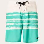 Шорты для плавания Oakley Swell Line RC 18´´, зеленый - фото 3