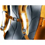 Детский рюкзак Forest Fox 14 Deuter, amber-maple - фото 3