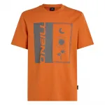 Футболка с коротким рукавом O´neill Front Print, оранжевый - фото