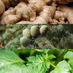 Спрей для тела Euphoria для мужчин 152 мл, Calvin Klein - фото 2