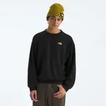 Оверсайз свитшот Evolution EMB мужской The North Face, Tnf Black - фото 2