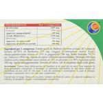 Гербопланета Дисбио-М 30 таблеток Herboplanet - фото 2