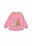 Толстовка Alpenglück Sweatshirt, Light Pink - фото