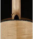 Cort Gold Passion L.R. Baggs Anthem - фото 3