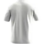 Футболка с коротким рукавом Salewa Eagle Cover, белый - фото 2