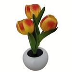 Атмосферные огни The Star God Project, оранжевый - фото