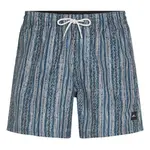 Шорты для плавания O´neill Cali Print 15´´, синий - фото