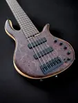 Бас-гитара Elrick Basses Evolution Gold 6 - Крупнозернистый орех 2024 - Сатин - фото 4