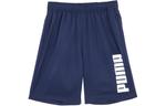 ESS Повседневные шорты для мужчин Puma - фото