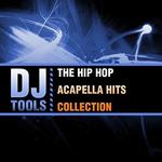 CD диск DJ Tools: Hip Hop Acapella Hits Collection - фото