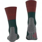 Носки TK2 Falke, цвет holly 7385 - фото 3