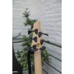 DINGWALL Custom D-Roc / 5 струн / 3 звукоснимателя - фото 6