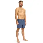 Мужские шорты Quiksilver Everyday Flex 15" для плавания, синий - фото 6