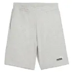 Шорты Puma Ess 2 Color No. 1 Logo 10´´, серый - фото
