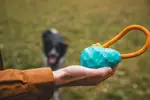 Игрушка Huck-a-Cone Ruffwear, Glacial Blue - фото 5