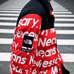 Пуховик серии North Face X Tnf Joint унисекс Supreme - фото 3
