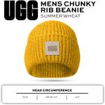 Шапка UGG Chunky Rib для мужчин, Summer Wheat - фото 5