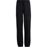 GS Брюки Adidas, черный - фото