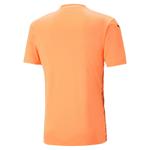 Джерси Puma Men's TeamULTIMATE 705371 - фото 4