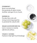 Кондиционер Fekkai Super Strength Protein Power Bond Conditioner, 250 ml - фото 6