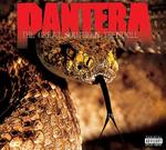 Диск CD The Great Southern Trendkill [Explicit] - Pantera - фото