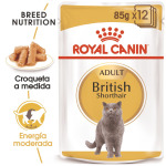 Royal Canin FBN Мокрая британская короткошерстная кошка 85 гр Royal Canin - фото