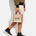 Демпси Хэндбэгз КОУЧ - фото 7