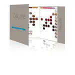 Таблица цветов 100 прядей для окрашивания волос 3deluxe - фото