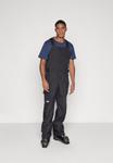 Лыжные брюки The North Face FREEDOBIB, Black - фото