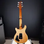 PRS Студия Аврора Бореалис - фото 10