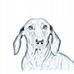 Такса Карманное зеркальце, которое складывается в сумочку Inna Marka - фото 2