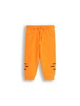 Спортивные брюки Coccodrillo, оранжевый - фото