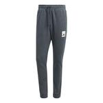 Спортивные брюки adidas Logo IL8302 - фото